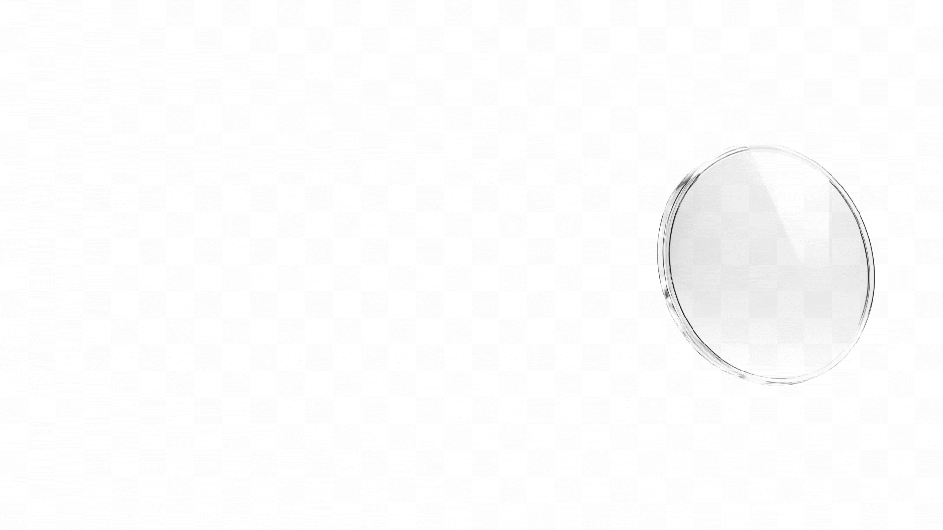 Eyeberry Eyewear
