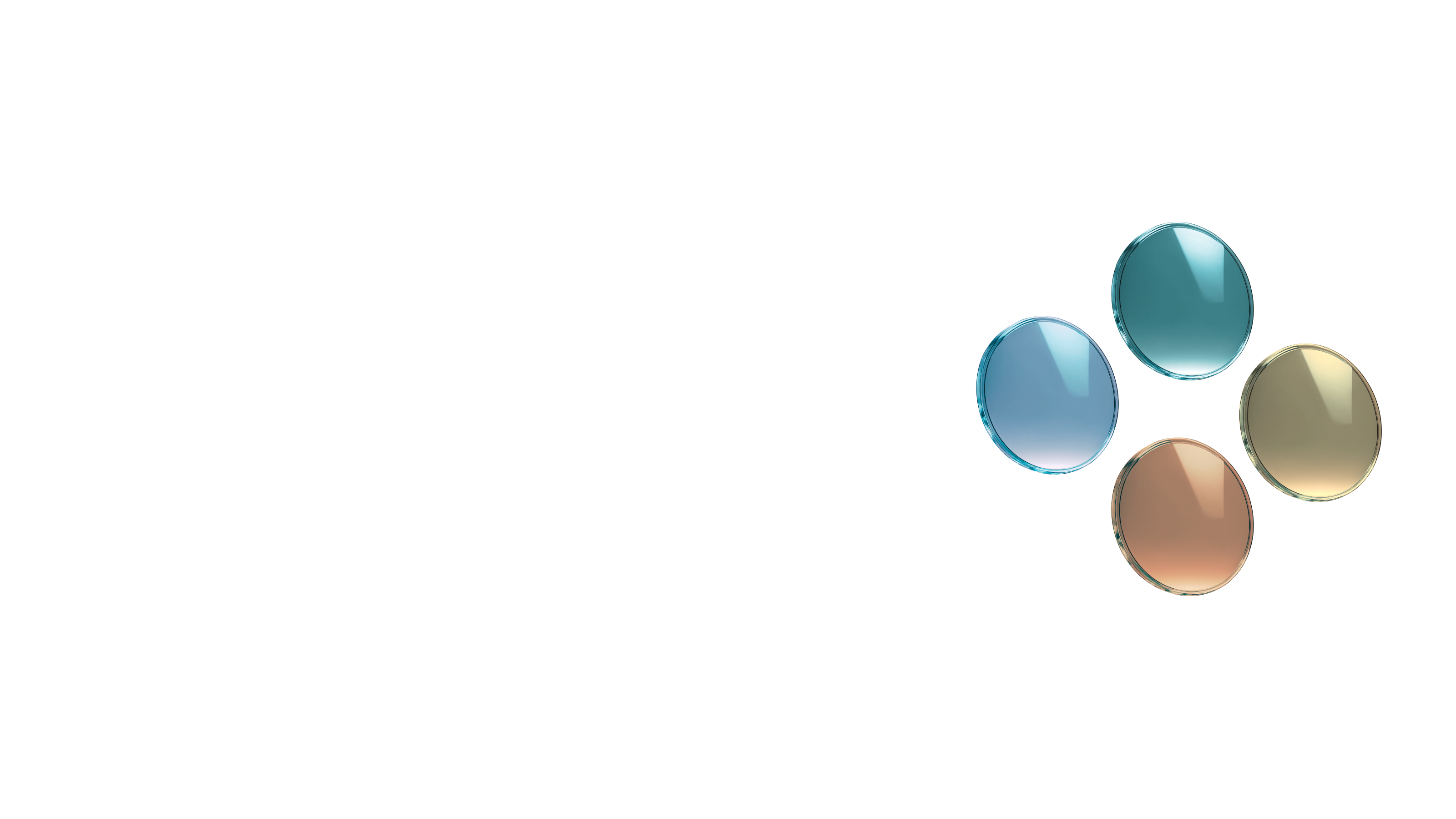 Eyeberry Eyewear