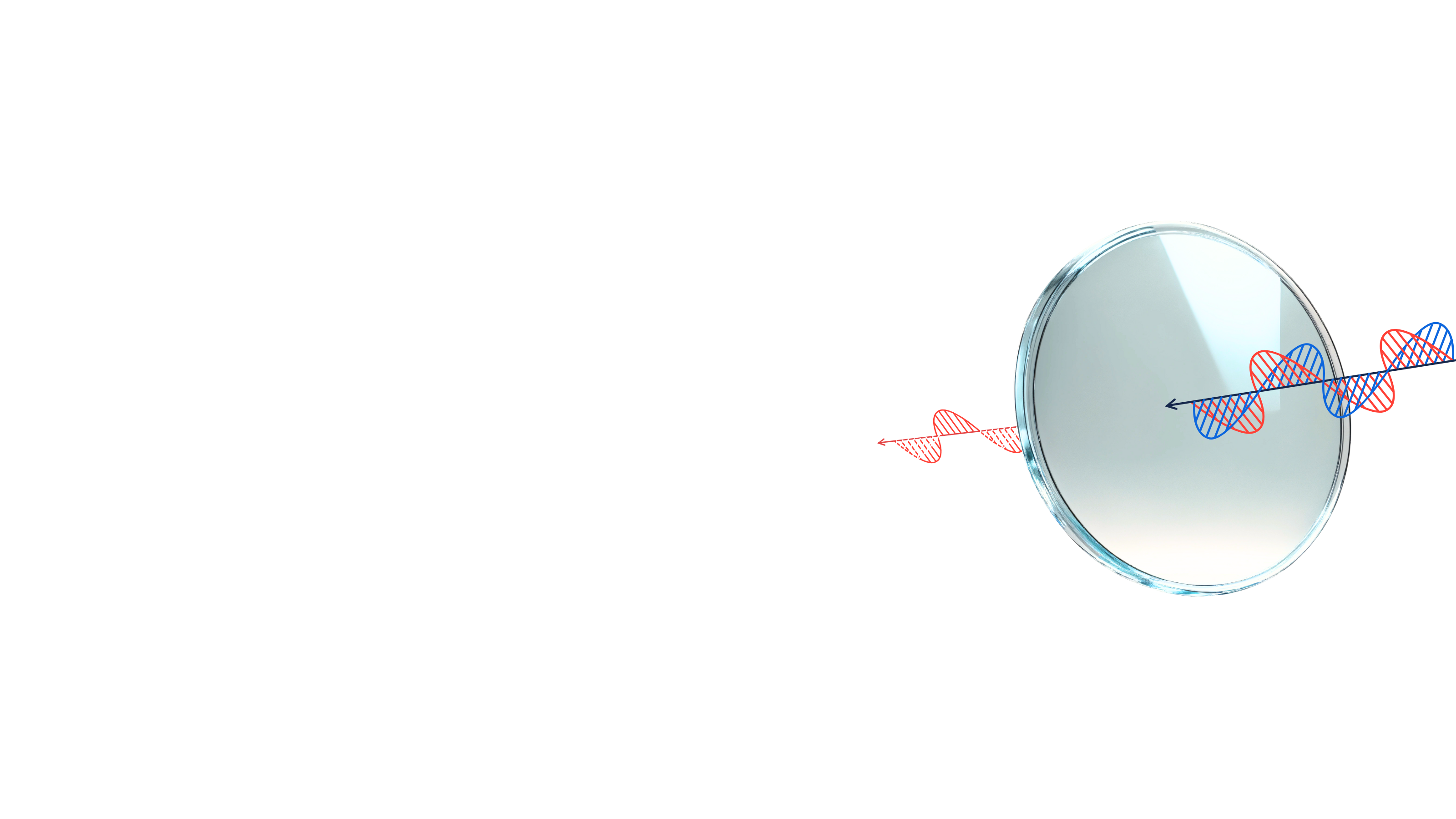 Eyeberry Eyewear